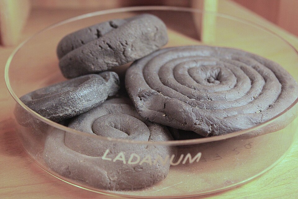 File:Deutsches Apothekenmuseum - Ladanum.jpg