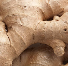 Ginger Root, Steamed, Fresh