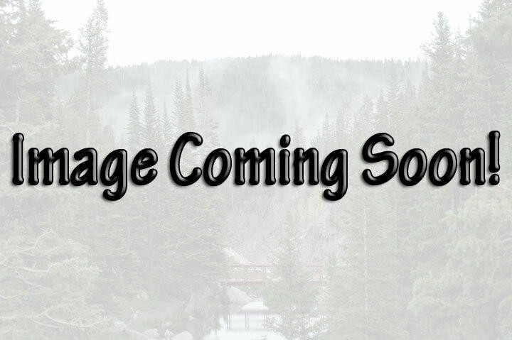 GP Female Support Collection