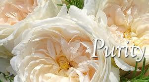 Purity