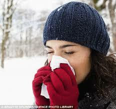 Winter Blues Essential Oil Collection